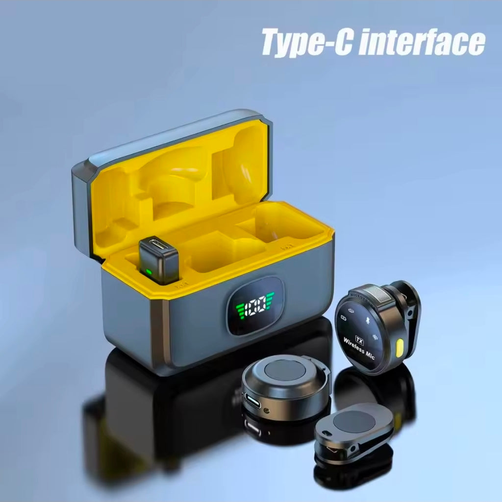 Wireless microphone double