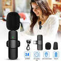 Microphone k9 single